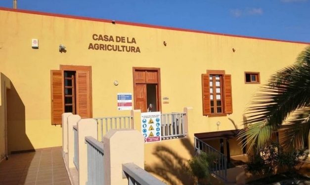 Telde  impulsa el emprendimiento en el sector agrícola 