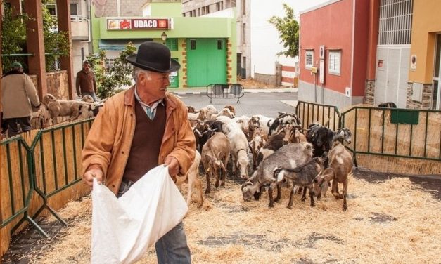Valsequillo celebrará este domingo el Día de Canarias