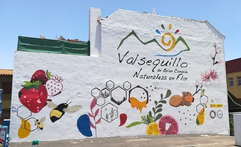 <strong>Jóvenes de Valsequillo embellecen el municipio</strong><br>