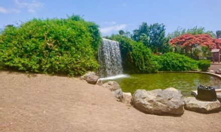 Telde culmina las tareas de mantenimiento de las cascadas de agua en el parque de las Mil Palmeras