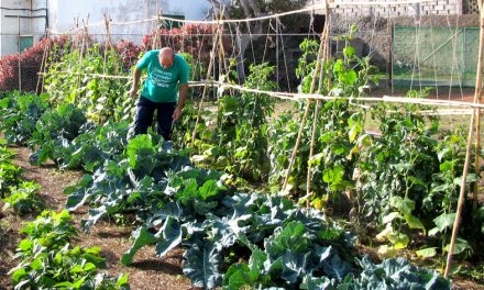Telde ofrece un taller de agricultura ecológica en el marco del Plan Integral de Jinámar