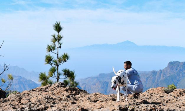 Las Palmas impulsa la tenencia responsable con la 8ª edición del concurso fotográfico ‘De vacaciones con mi perro’ 