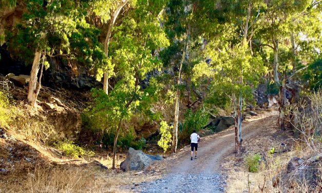 Telde encarga a Gesplan el mantenimiento y conservación del Corredor Paisajístico