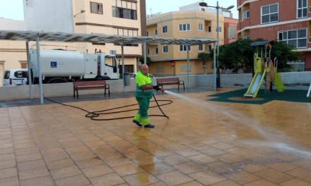 Telde realiza una limpieza de choque en Salinetas y Clavellinas