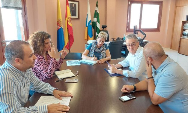 La alcaldesa de Ingenio solicita al consejero de Empleo del Cabildo nuevos planes dirigidos a combatir el paro