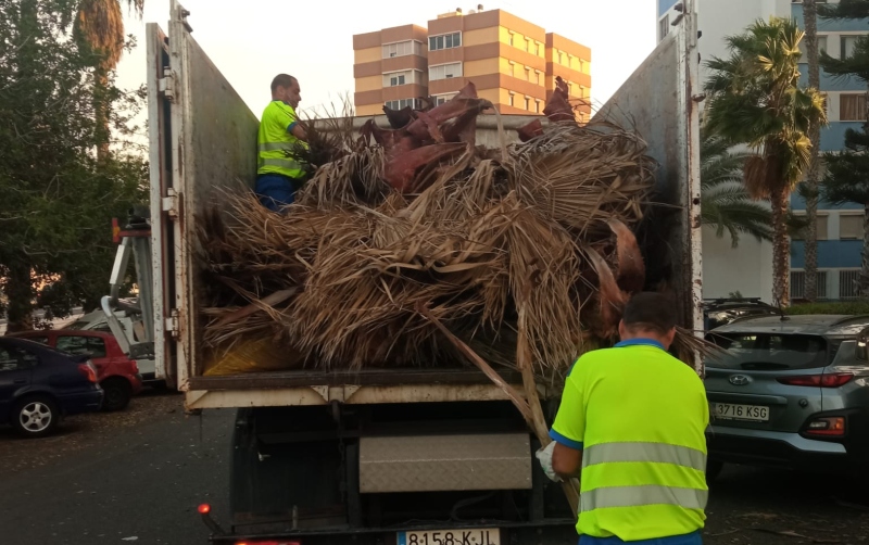 Los servicios municipales de Las Palmas  gestionan un centenar de incidencias provocadas por el viento  