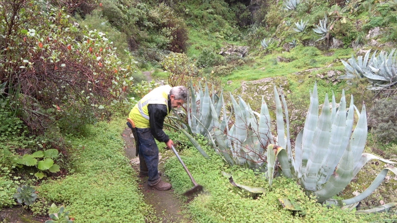 <strong>Valsequillo cuenta con una cuadrilla de peones forestales para limpiar sus senderos</strong>