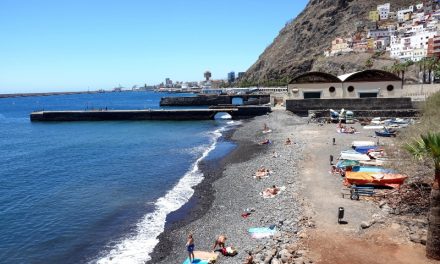 <strong>Santa Cruz autoriza una zona de acceso para perros en la playa ‘Acapulco’</strong>