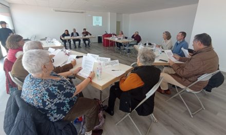 Las Palmas celebró hoy una nueva sesión del Consejo Municipal del Mayor 