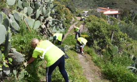 10 vecinos se incorporan a trabajar en el Ayuntamiento de Valsequillo a través de un plan de empleo