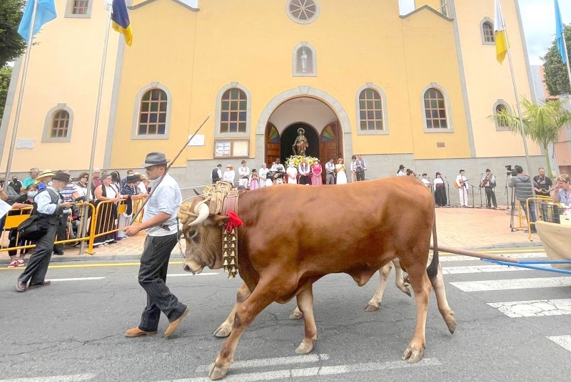 El Cruce de Arinaga se prepara para el último fin de semana de las fiestas de San José Obrero