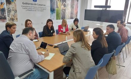 Gobierno de Canarias y  Red Eléctrica buscan alternativas al trazado de Carrizal