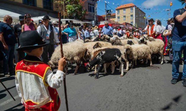 La Feria Agroganadera de Tenerife reivindica desde este martes la riqueza y calidad del sector  