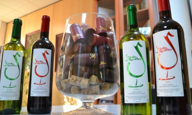 La Fiesta de la Vendimia llega a su cuarta edición con vino, tapas y música en directo
