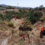 La Laguna refuerza la limpieza y restauración ecológica de sus barrancos con un nuevo servicio municipal de mantenimiento ambiental