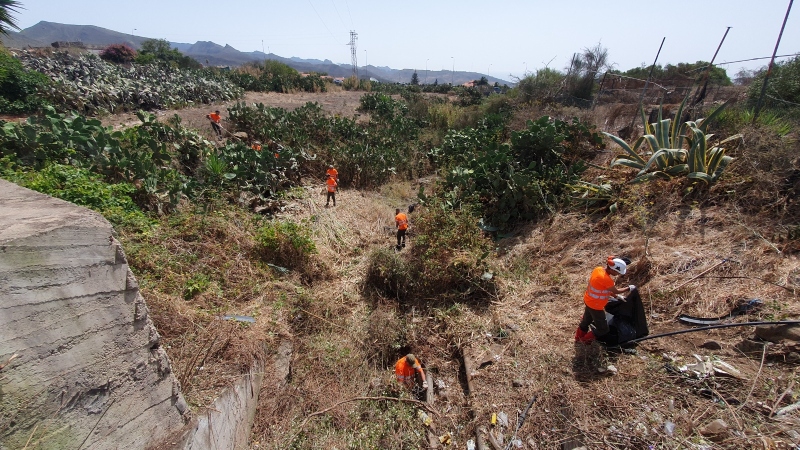 La Laguna retira más de 112 toneladas de residuos vegetales de los barrancos del municipio 