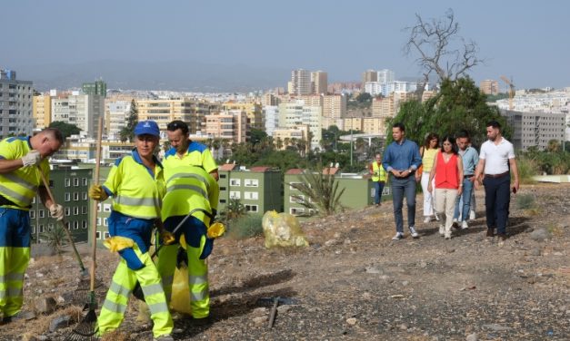 La alcaldesa de Las Palmas  supervisa el avance del plan especial de limpieza y de cuidado de zonas verdes 