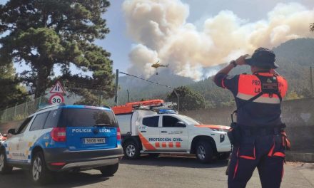 Arico suspende los actos festivos por el incendio y pone a disposición sus efectivos