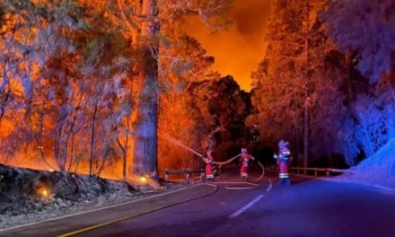 El viento y la previsión de una subida de temperaturas dificultan la extinción del incendio de Tenerife