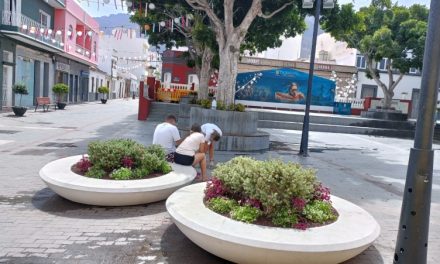 La Aldea de San Nicolás embellece y replanta las zonas verdes del casco del municipio