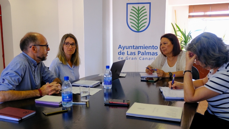 El Ayuntamiento de Las Palmas  y el Colegio de Veterinarios coordinan una nueva campaña de control poblacional felino
