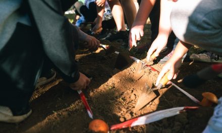 Cerca de 600 escolares de La Laguna participan en los talleres para el conocimiento de la arqueología 