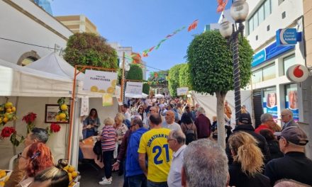 Cientos de personas  disfrutan de la XIII   la Feria de la Naranja en Telde