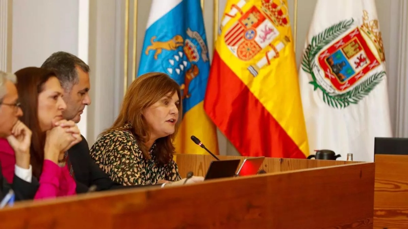 El PP denuncia los retrasos de las obras del Museo Néstor y de la Ermita de Santa Catalina 