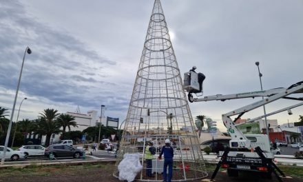 Telde instala un nuevo árbol de 12 metros de altura en la entrada de la ciudad