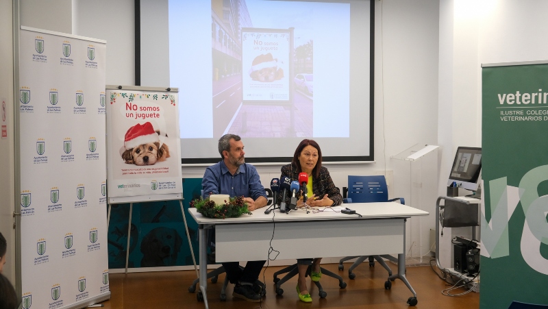 Ayuntamiento de Las Palmas  y Colegio de Veterinarios lanzan una campaña para fomentar la responsabilidad en la adopción de mascotas 