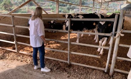 María Calderín visita la finca de vacas Lomo de la Palma
