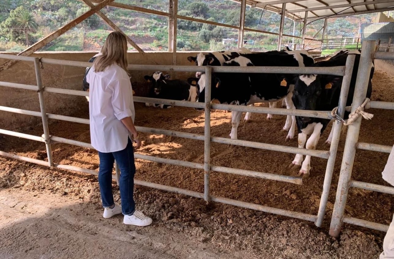 María Calderín visita la finca de vacas Lomo de la Palma