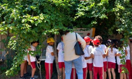 Las Palmas retoma el proyecto Huertos Escolares que acerca la agricultura a la infancia