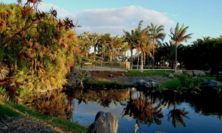 Santa Cruz cierra 2023 con un nuevo récord de visitantes al Palmetum