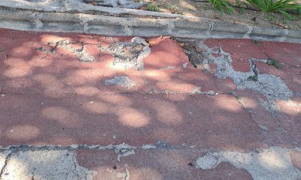 Lamentable estado del pavimento del parque urbano de San Juan en Telde