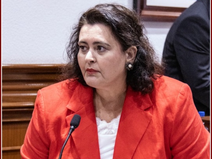 Nueva Canarias pide que se aplique el Pacto Antitransfugismo en Telde