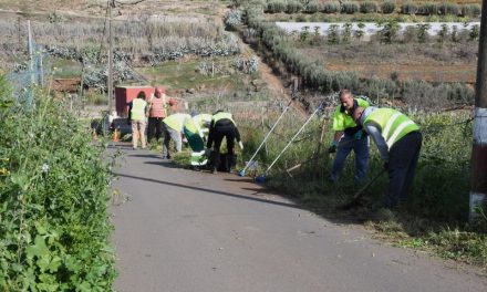 Los operarios del programa de Zonas Agrarias Deprimidas siguen trabajando en Valsequillo