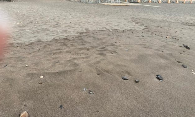 Nueva Canarias Telde traslada a la concejalía de Playas las demandas de los usuarios de la Playa de Salinetas