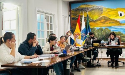 El Gobierno local de Arico aumenta su coste en más de un 36% y la alcaldesa del PSOE se sube el sueldo 10.000 euros al año