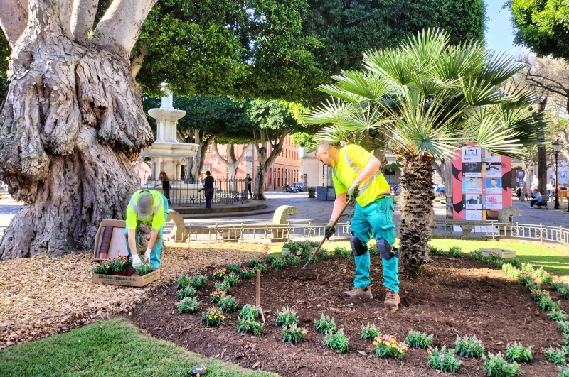 Más de 2.500 flores embellecerán esta primavera los parques y jardines del centro histórico de La Laguna
