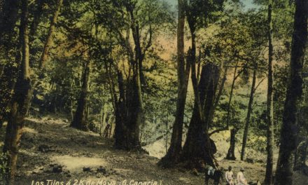 La bióloga Rosa Delia Castillo recrea la imagen original de la Selva de Doramas, tal como la conoció el poeta Tomás Morales