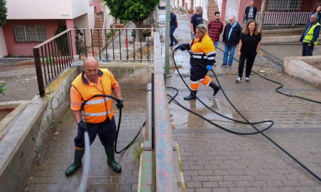 El Ayuntamiento de Las Palmas  actúa de forma integral sobre la limpieza y los jardines de Ladera Alta