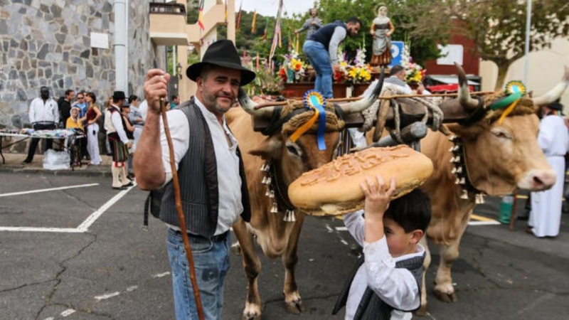 Las Mercedes (La Laguna), celebra este domingo su romería con una veintena de carretas, barcos, rondallas, danzas y rebaños