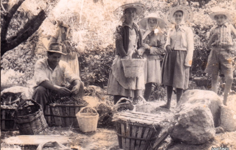 El Rincón de Tenteniguada celebra este domingo el Día de Las Tradiciones