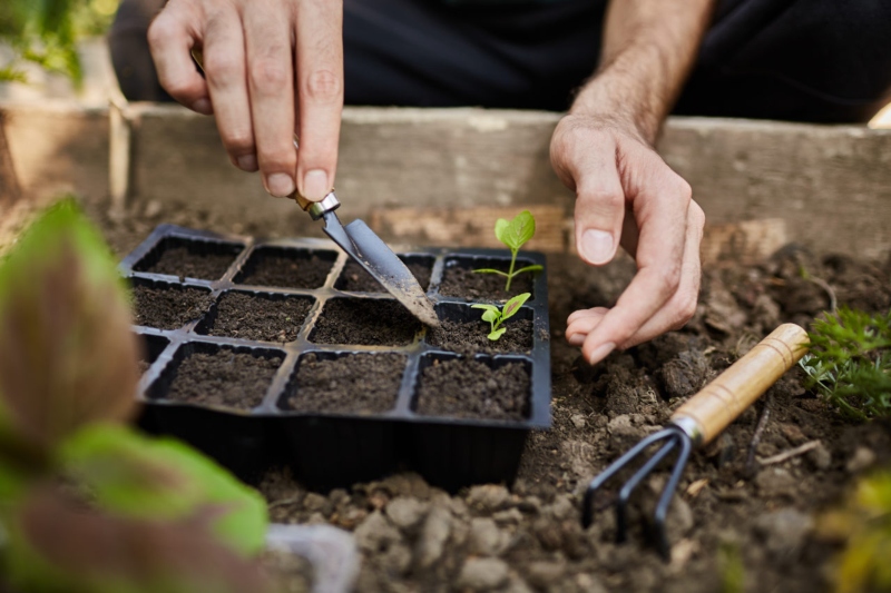 Agüimes celebra este domingo el Día de la Alimentación, la Agricultura y la Ganadería