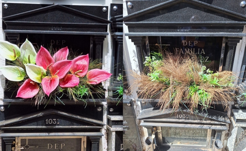 Vecinos de San Gregorio denuncia el robo sistemático de ramos y flores en el cementerio