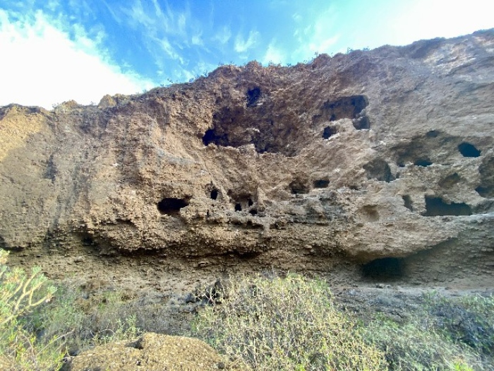 El programa de Arqueorutas de Turcón-EeA, llega este mes de diciembre al atractivo, sinuoso y espectacular barranco del Draguillo