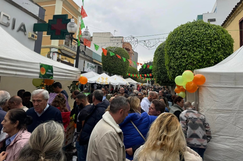 Una imagen vale más que mil palabras: La Feria de la Naranja de Telde todo un éxito