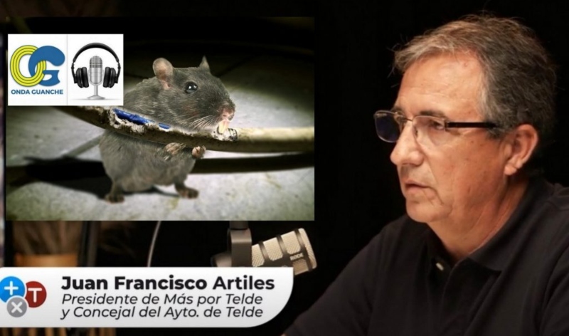 Juan Francisco Artiles destapó a “las ratas que roen los cables del alumbrado en Telde” en el programa La Hora de la Verdad de Onda Guanche