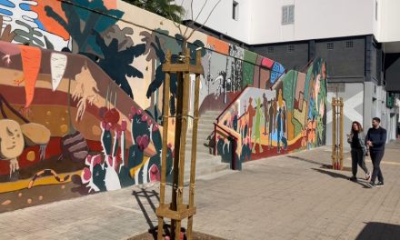 El Ayuntamiento de Las Palmas sanea y embellece los muros de la calle Córdoba en el barrio de la Vega de San José